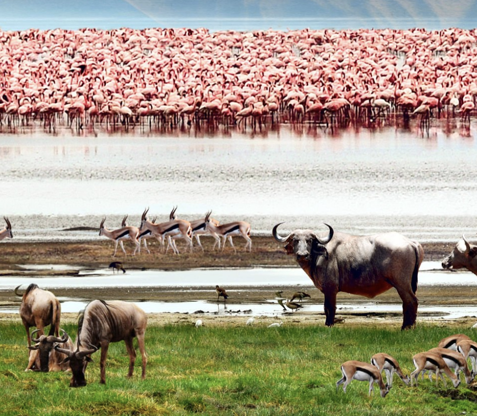 Lake Natron