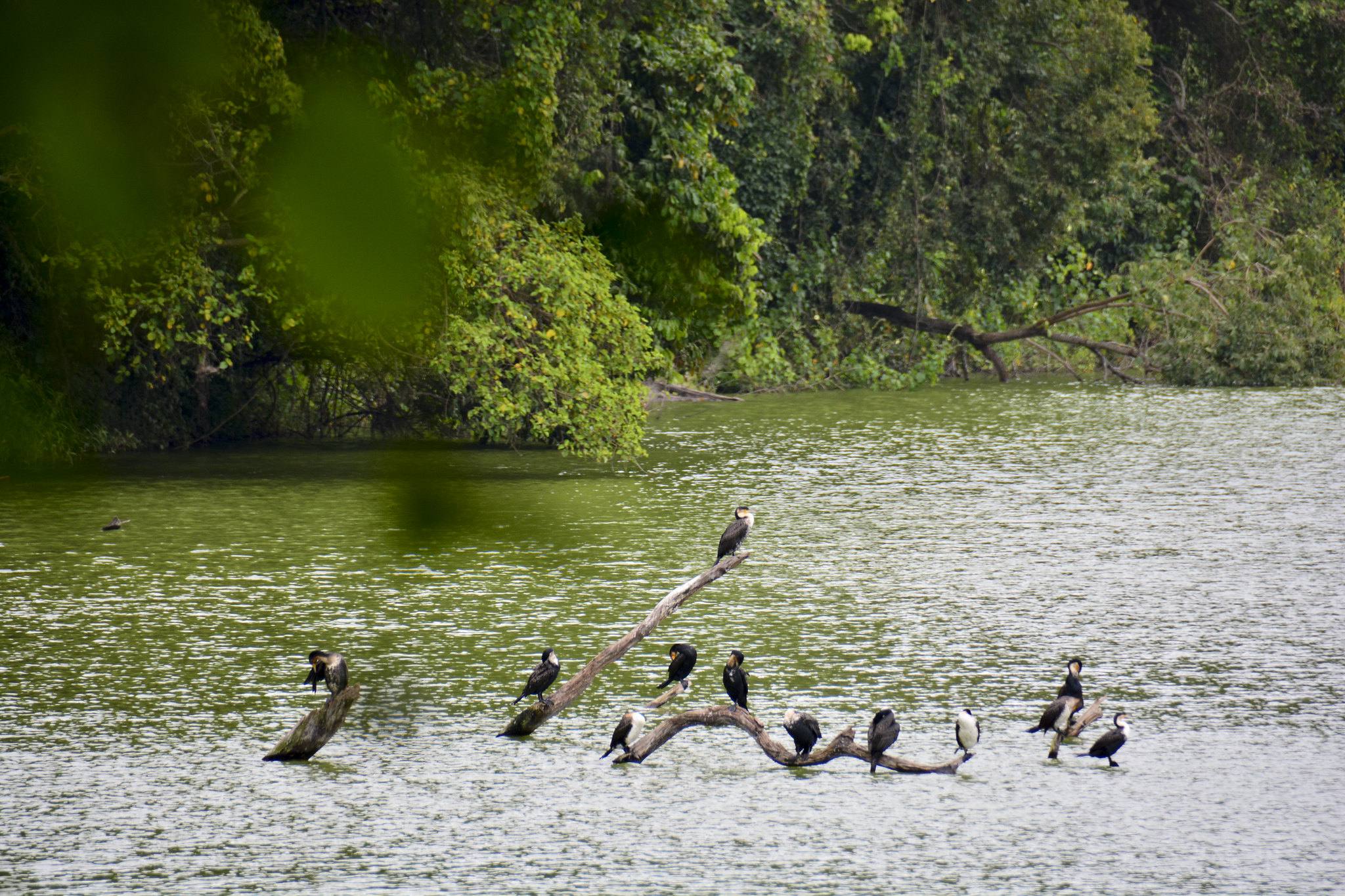 Lake Duluti