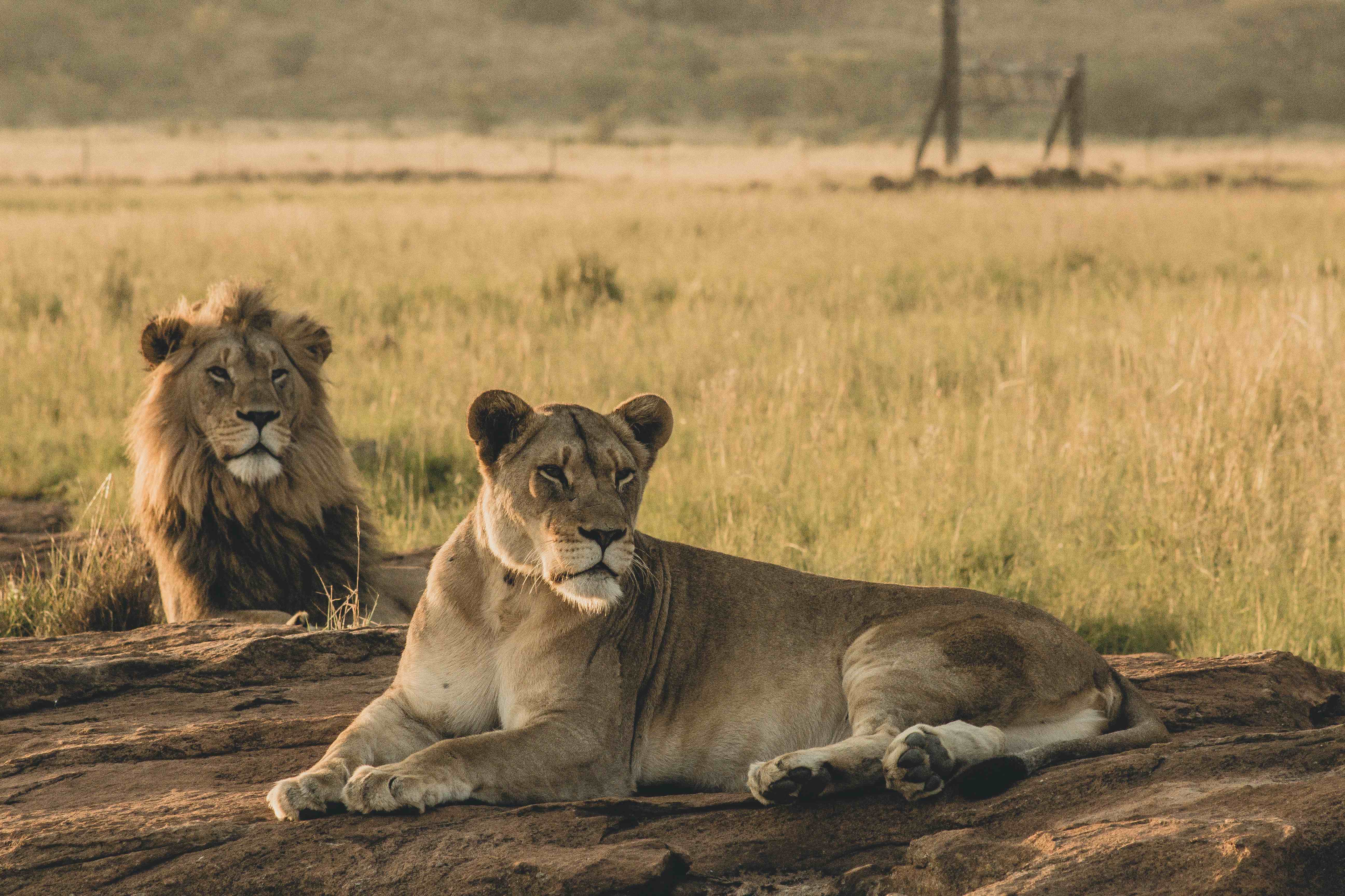 Arusha National Park