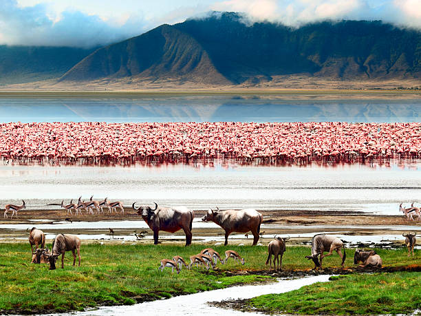 7-Day Natural Wonders Safari