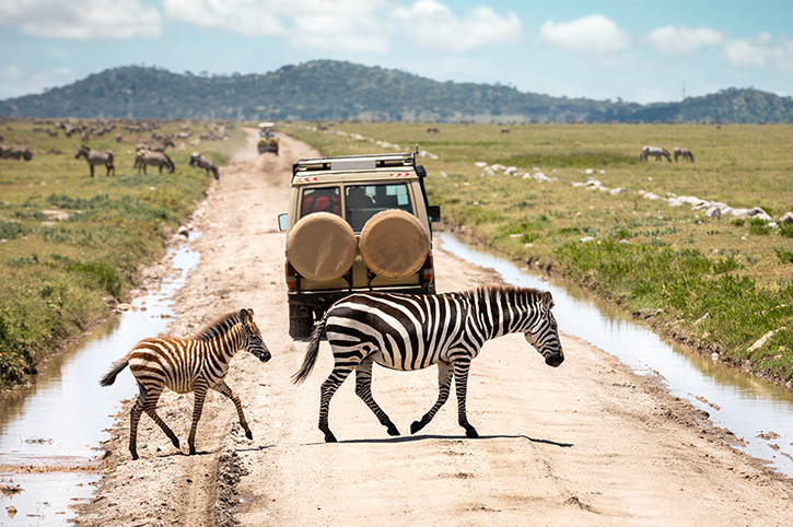 Ngorongoro Crater