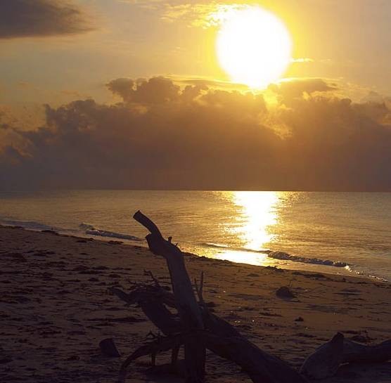 Saadani National Park