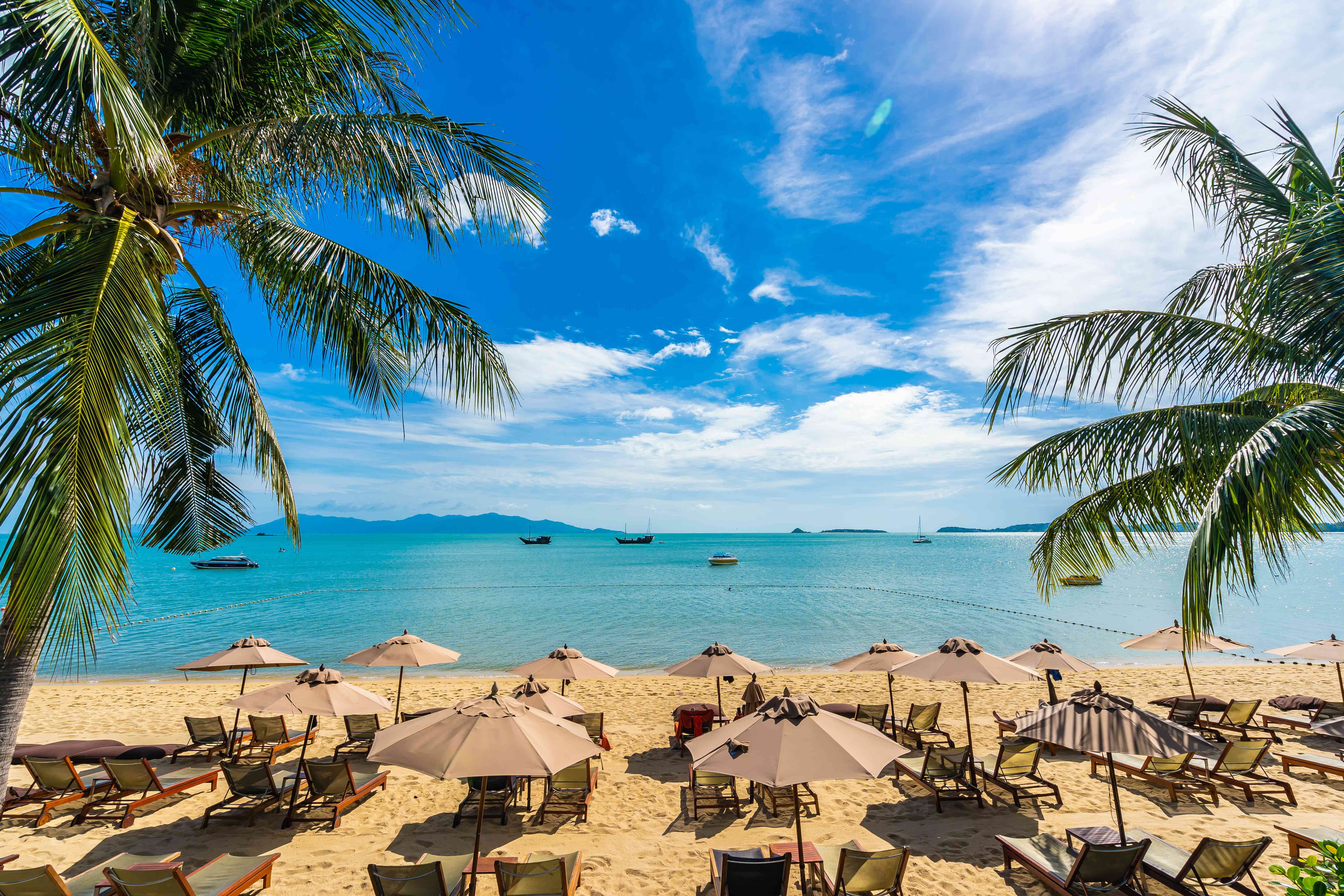 Pristine tropical beach with crystal clear waters