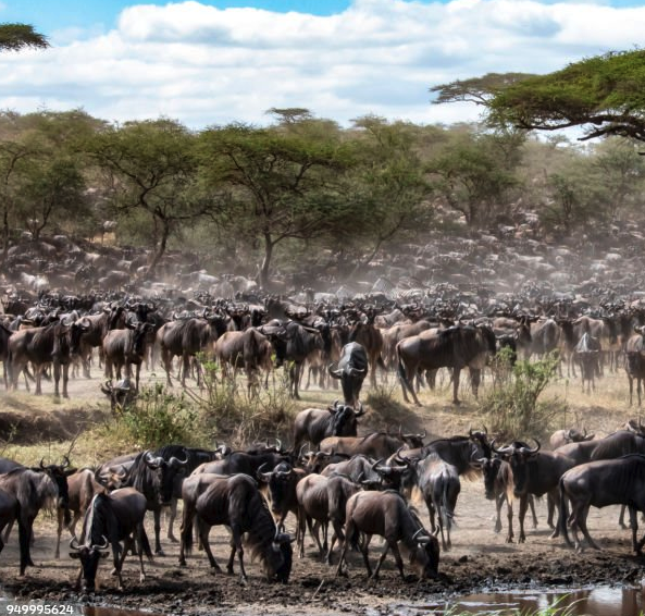 Serengeti National Park